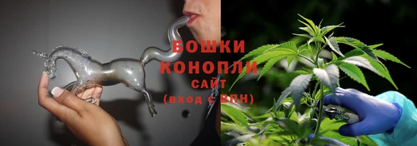 PSILOCYBIN Бронницы